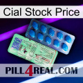 Cial Stock Price new02